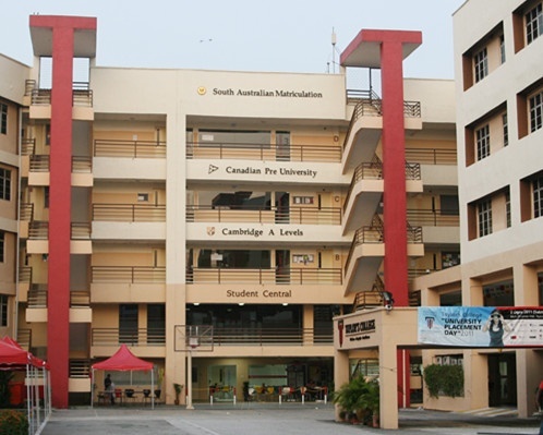 泰勒学院