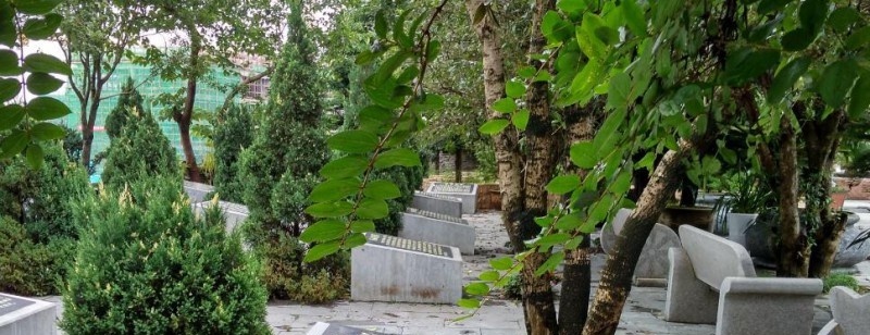 贵阳新城职业学校地址在哪里