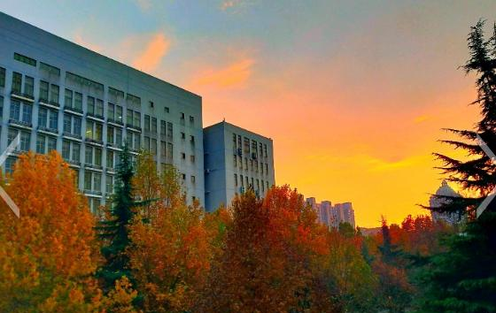 河北医科大学
