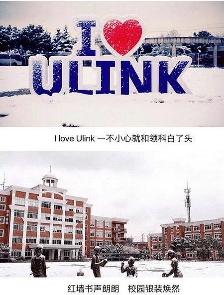 一不小心就和领科白了头