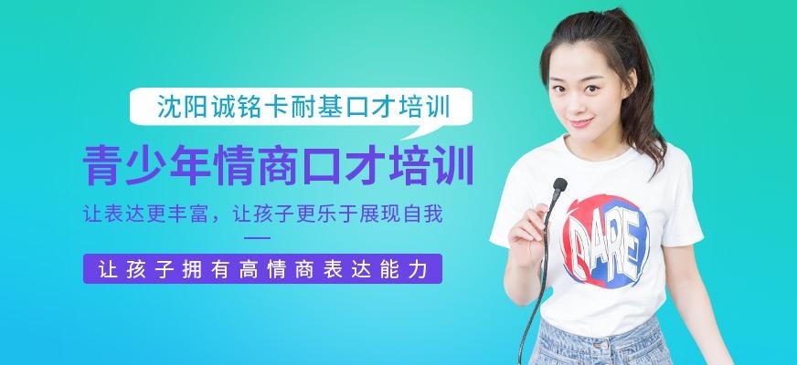 沈阳青少年口才培训