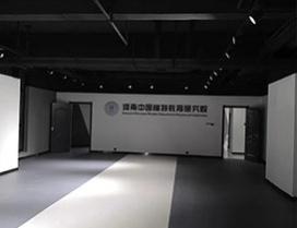 河南中模教育研究院