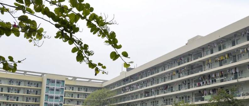 广州为明国际学校地址在哪里