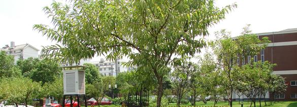 苏州外国语学校初中部