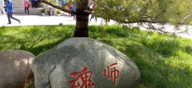 灵11