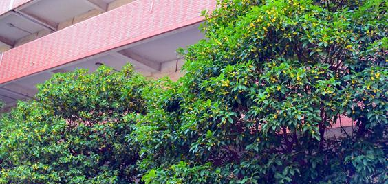 赣州育才职业中等专业学校