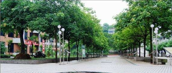 长宁县职业高级中学