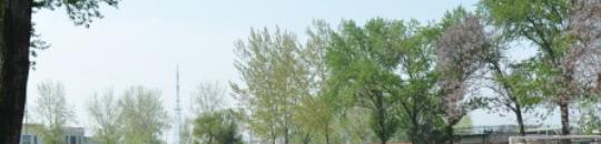 曲阜中医药学校