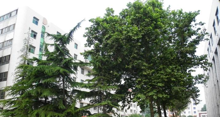 河北建筑工程学校