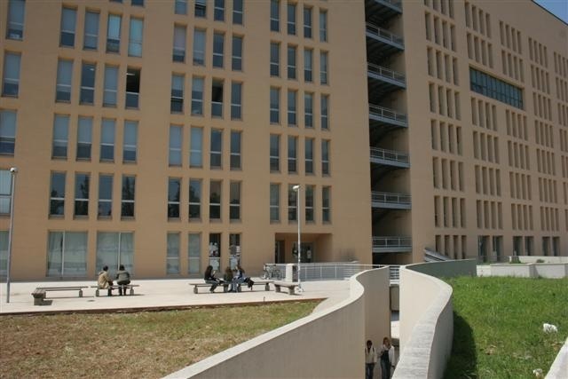 巴勒莫大学