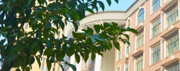 河南技师学院