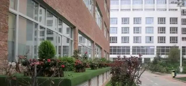 北京BISS国际学校小学部2023年录取分数线