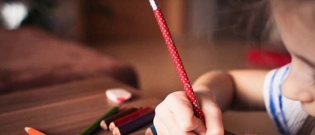 2023織金縣中等職業(yè)學(xué)校開(kāi)設(shè)的專業(yè)一覽表