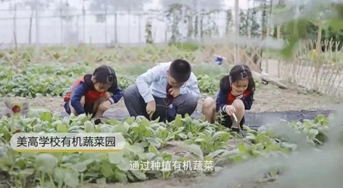苏州美高学校蔬菜园