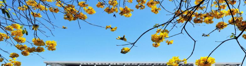 截图_20191028084907