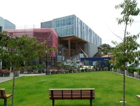 梅西大学
