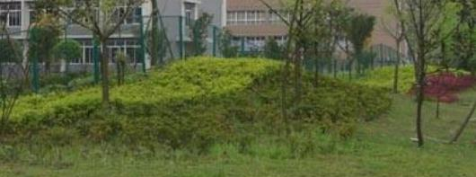 富顺县福源灏职业中学怎么样、好不好