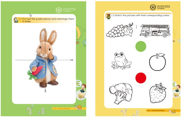 LCAI 国际课程(图5)