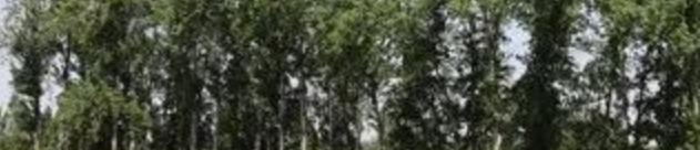 泰安市理工中等专业学校