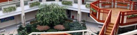 北京明诚外国语学校高中部