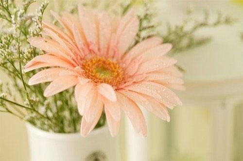 关于读书真好演讲稿