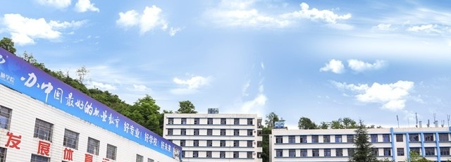 贵州电子商务职业技术学院五年制大专有哪些专业