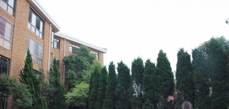 上海常青藤学校2022年招生政策