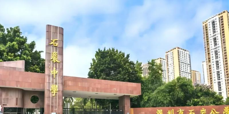 深圳石岩公学学校国际部小学2023年课程体系