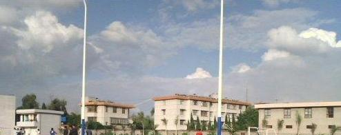 截图_20211116125650