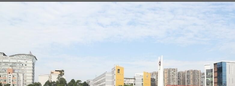 成都职业技术学院单招