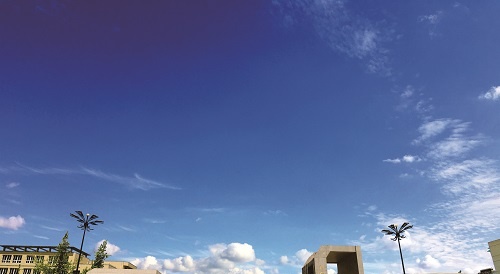 成都农业科技职业学院2022年有哪些专业