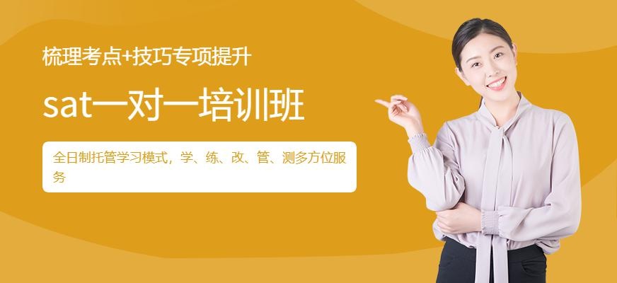 sat一对一培训班
