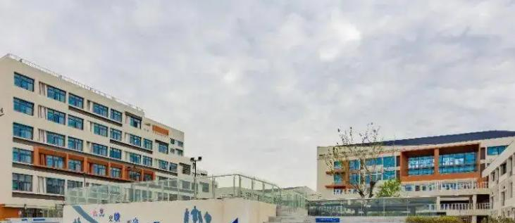 苏州科技城外国语学校小学部2023年录取分数线2