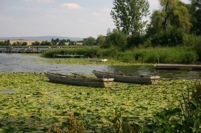 哥廷根私立应用技术大学