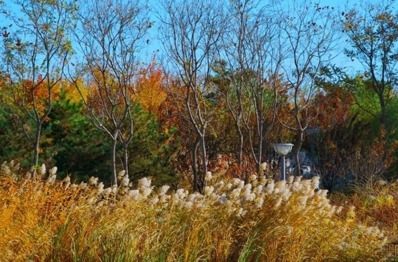 北京航空航天大学留学预科