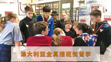 澳洲全真插班微留学