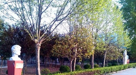 河南16