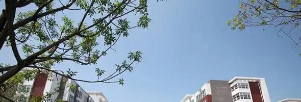北京中芯学校初中部2023年录取分数线