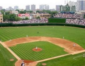 深圳红鹿棒球国际学院