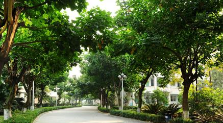 阜阳市信息工程学校怎么样、好不好(2023参考)