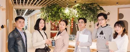 形象礼仪是什么