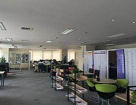 杭州金矢留学