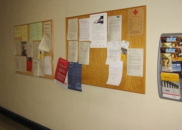 施派尔德国管理学大学