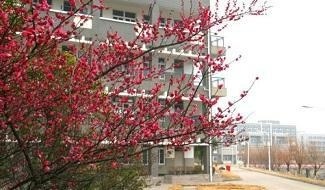 嘉兴平湖中学-圣玛丽国际部