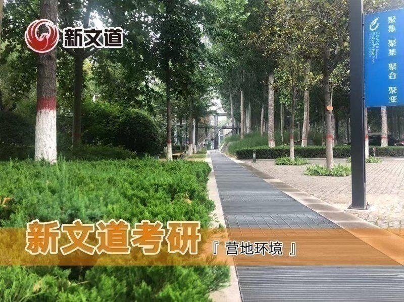 宁波好的考研培训机构