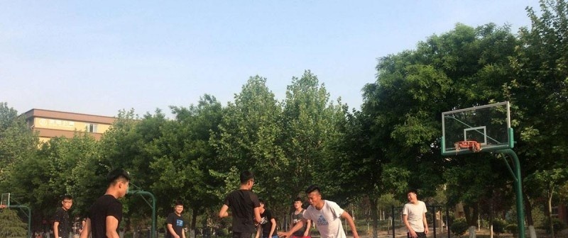 聊城职业技术学院单招
