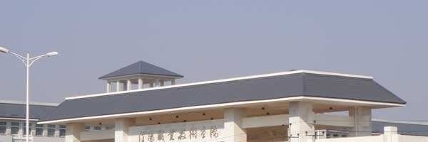 信阳职业技术学院单招成绩查询时间