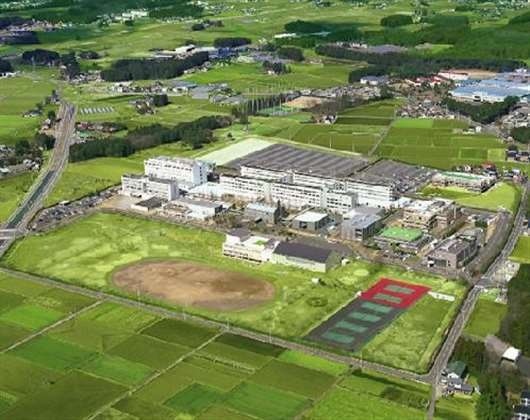田园调布学园大学