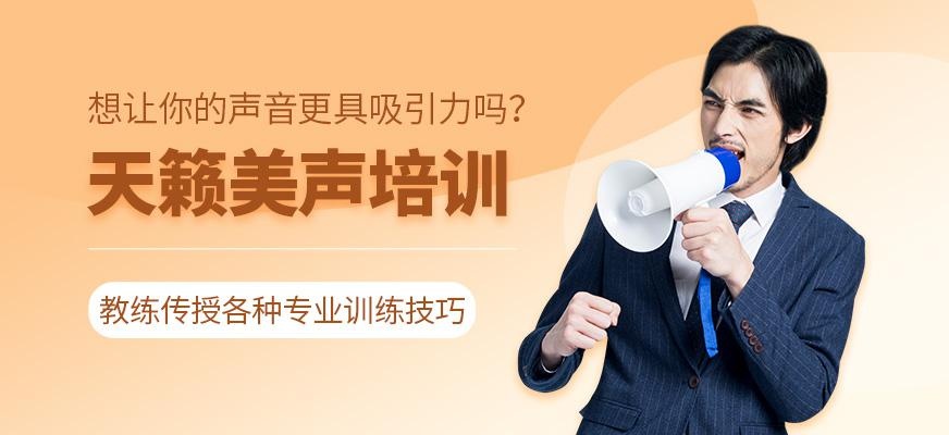 广州天籁美声培训班