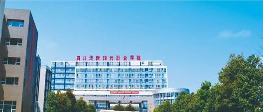 四川华新现代职业学院2020年招生办